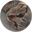 Coman 2270 profile picture